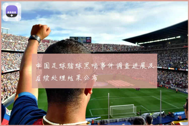 中国足球赌球黑哨事件调查进展及后续处理结果公布