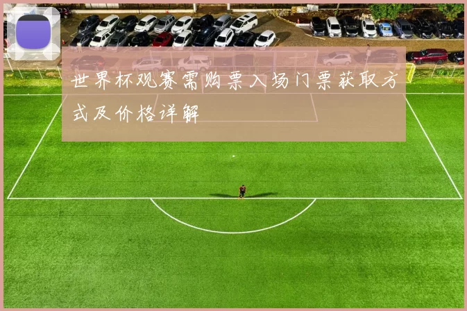 世界杯观赛需购票入场门票获取方式及价格详解
