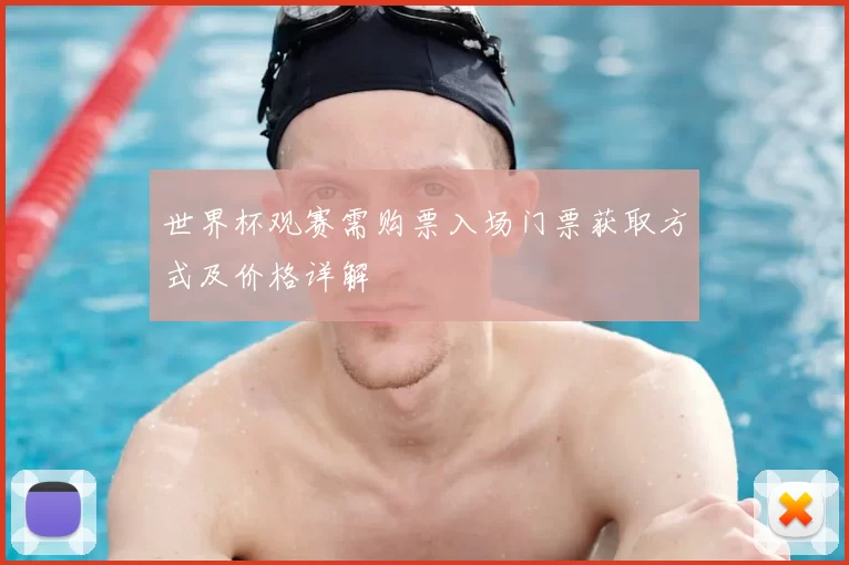 世界杯观赛需购票入场门票获取方式及价格详解