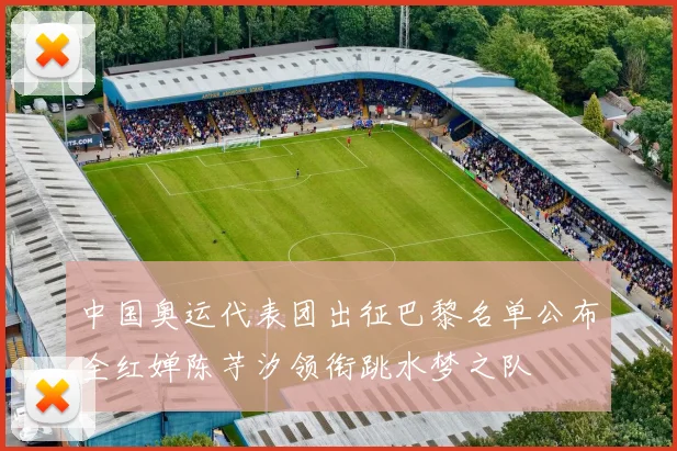 中国奥运代表团出征巴黎名单公布全红婵陈芋汐领衔跳水梦之队