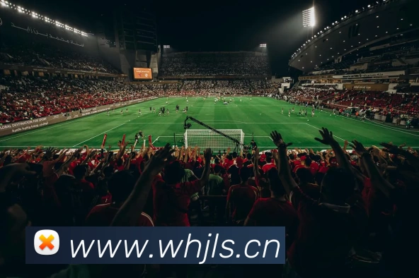 多媒体互动体验